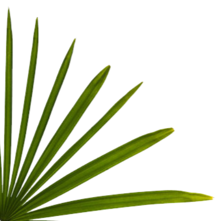 Botaanikaaia E-pilet